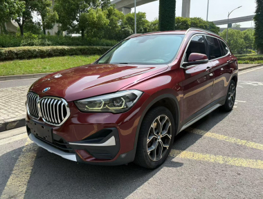 BMW X1 2019 car image 