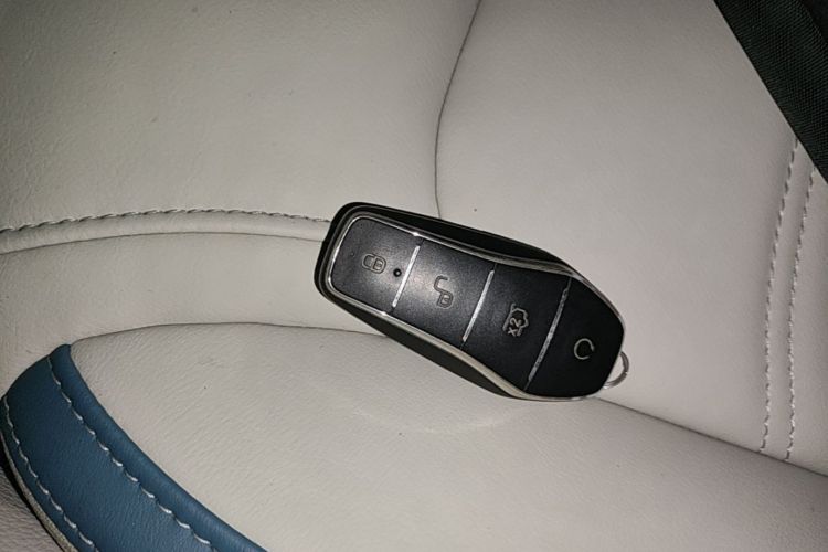 BYD Yuan Pro 2023 #9 BYD Yuan Pro 2023 imagen de coche #9