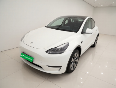 Tesla Model Y 2022 Tesla Model Y 2022 car image