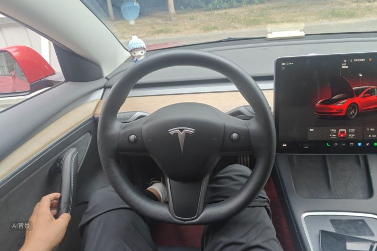 Tesla Model 3 2022 #12 Tesla Model 3 2022 immagine di auto #12