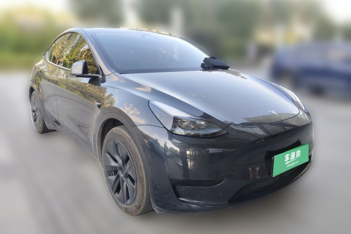 Tesla Model Y 2024 immagine di auto #2