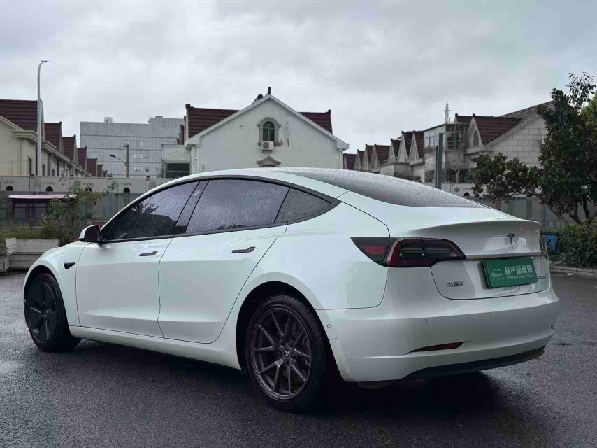 Tesla Model 3 2021 #7 Tesla Model 3 2021 car image #7