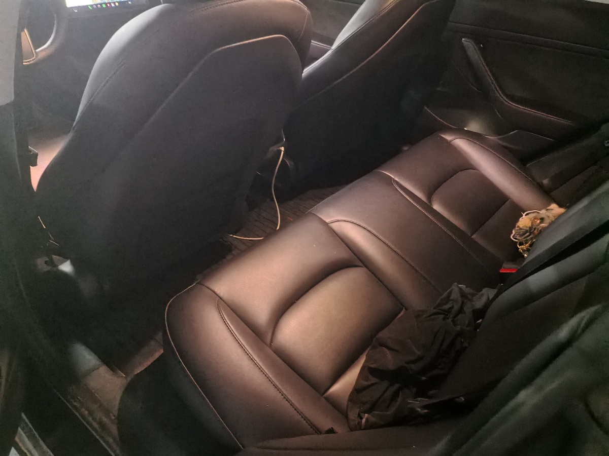 Tesla Model 3 2021 immagine di auto #5