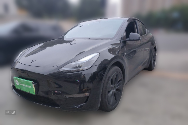 Tesla Model Y 2023 #2 Tesla Model Y 2023 car image #2