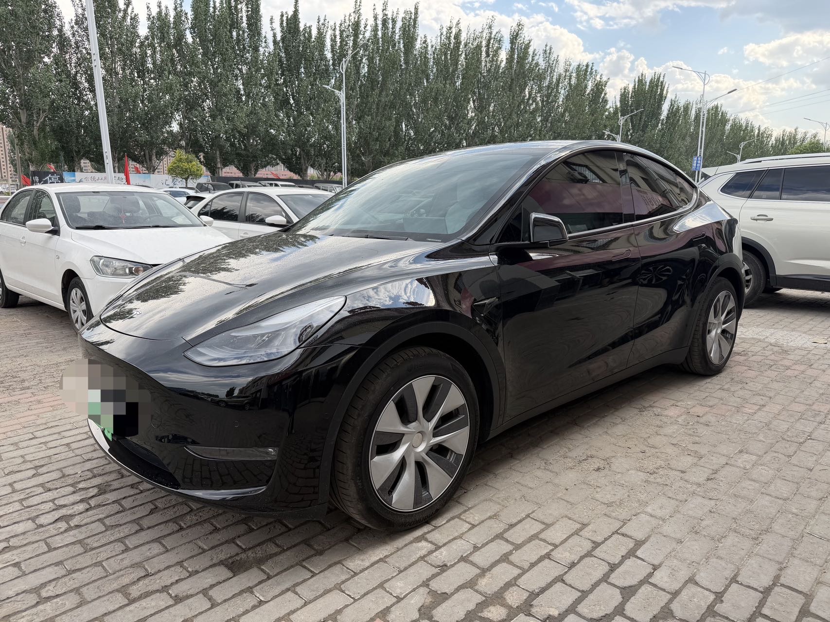 Tesla Model Y 2021 Tesla Model Y 2021 car image