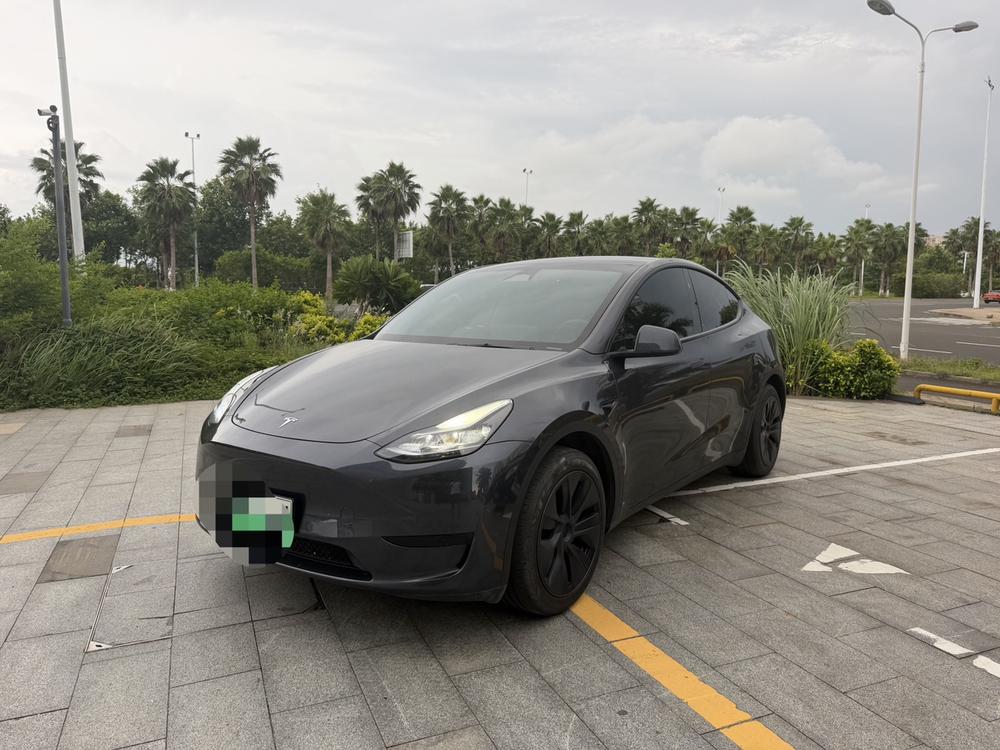 Tesla Model Y 2024 Tesla Model Y 2024 car image