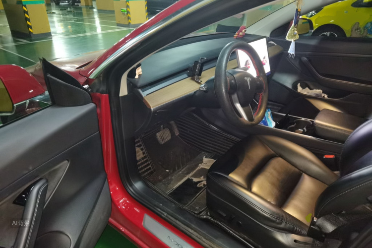 Tesla Model 3 2020 car image #18