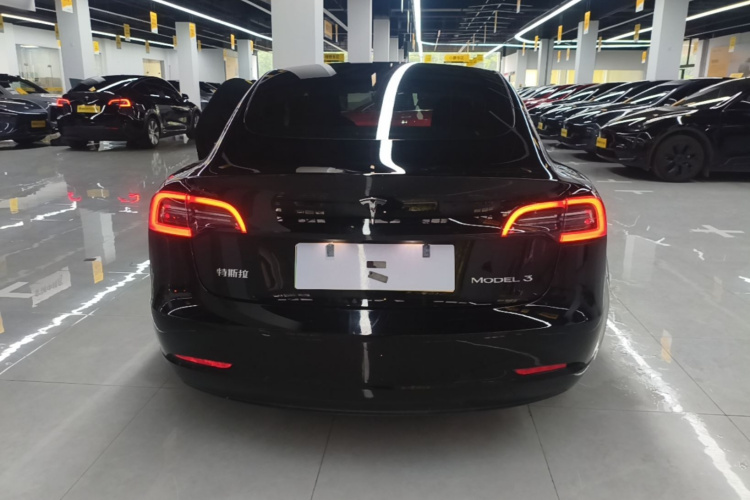 Tesla Model 3 2021 #6 Tesla Model 3 2021 car image #6