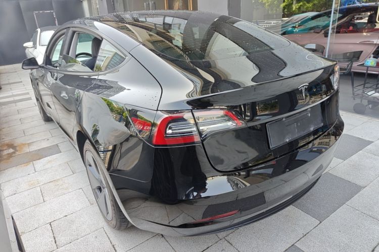 Tesla Model 3 2021 #5 Tesla Model 3 2021 car image #5