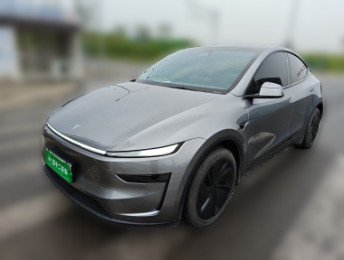 Tesla Model Y 2025 Tesla Model Y 2025 car image