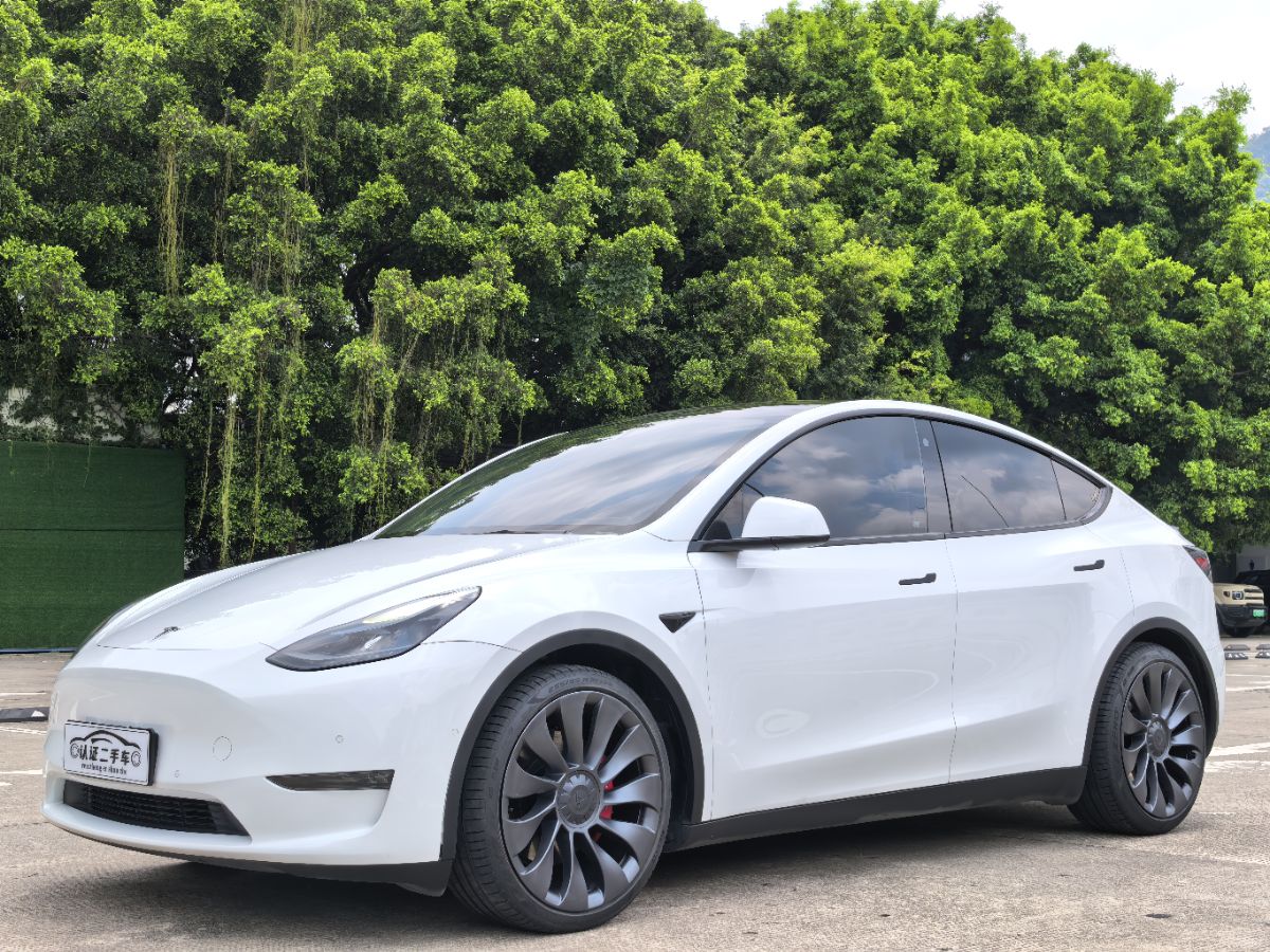 Tesla Model Y 2022 Tesla Model Y 2022 car image