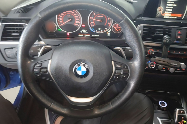 BMW 3 Series 2017 car image #15