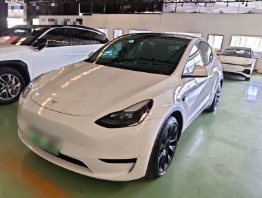 Tesla Model Y 2022 Tesla Model Y 2022 car image