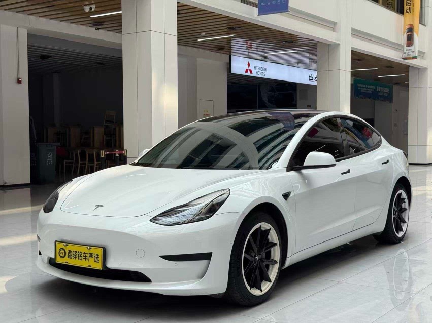 Tesla Model 3 2022 car image 