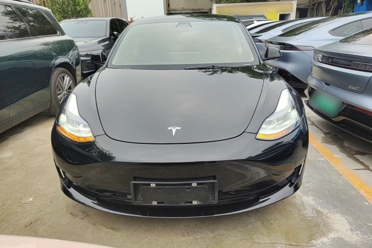 Tesla Model 3 2021 #3 Tesla Model 3 2021 car image #3