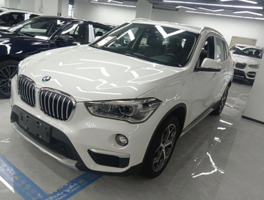 BMW X1 2019 car image 