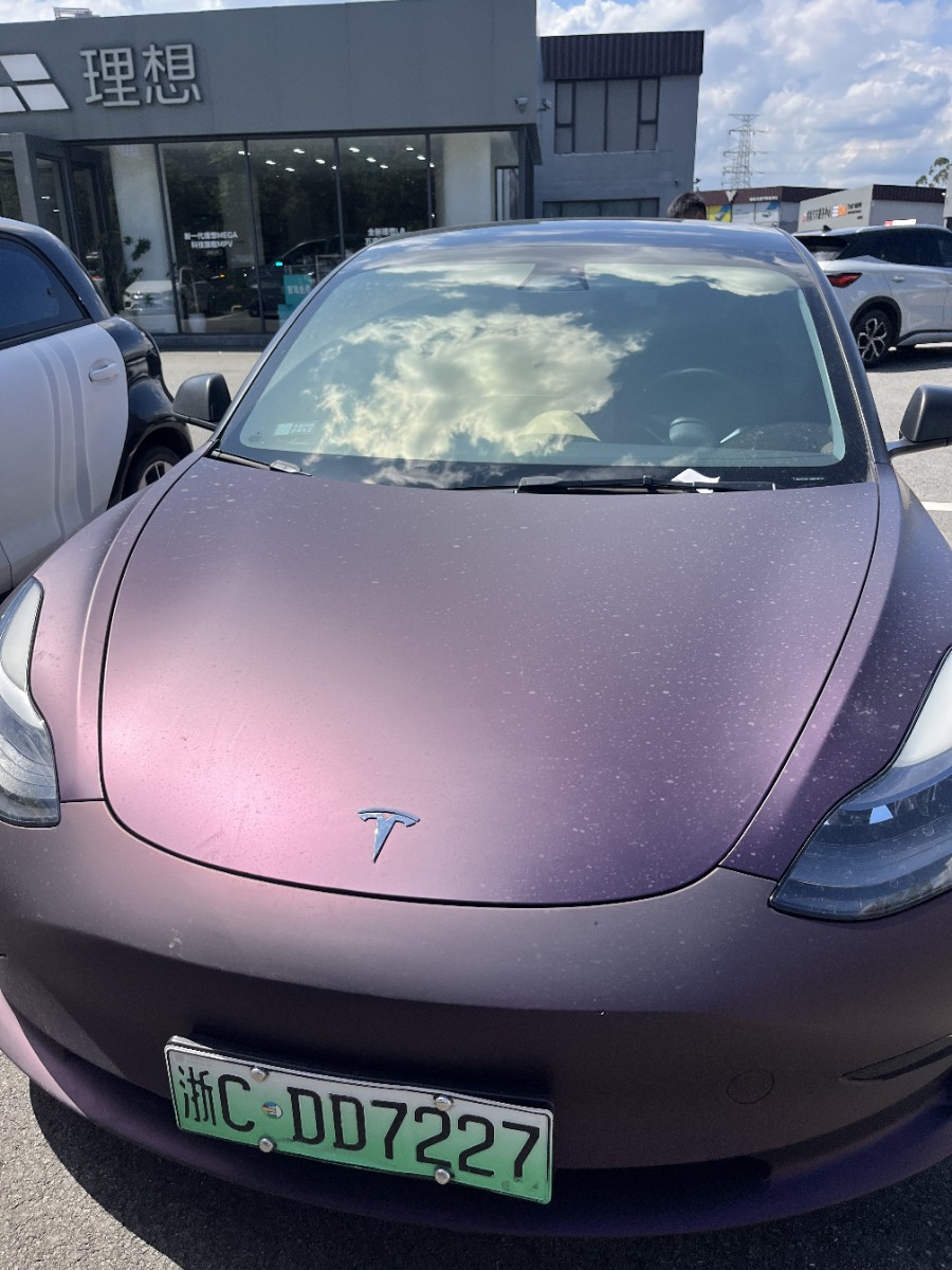 Tesla Model 3 2021 car image #2