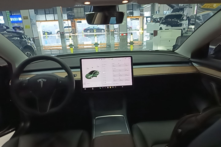 Tesla Model 3 2021 car image #11