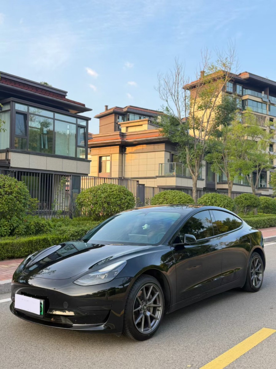 Tesla Model 3 2022 car image #3