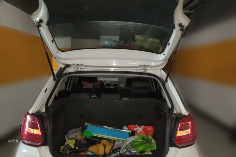 Volkswagen Polo 2016 car image #21