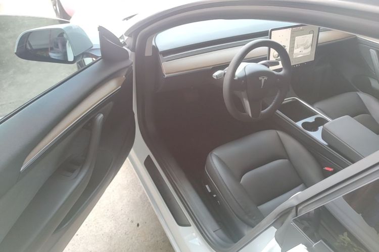 Tesla Model 3 2021 car image #16
