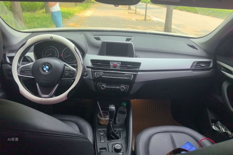 BMW X1 2017 car image #11