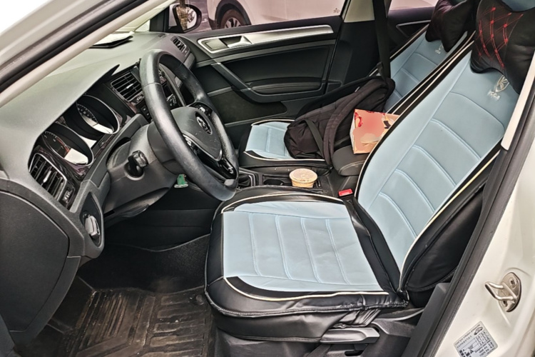 Volkswagen Golf 2019 car image #15