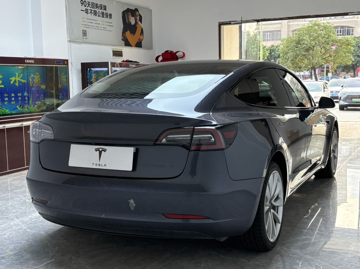 Tesla Model 3 2020 car image #7