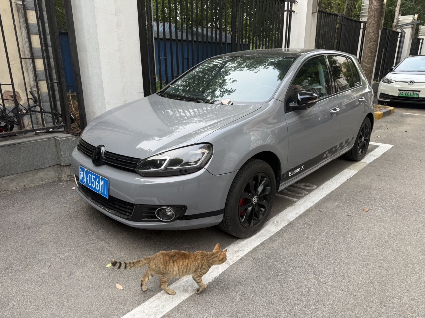 Volkswagen Golf 2013 Volkswagen Golf 2013 汽车图片