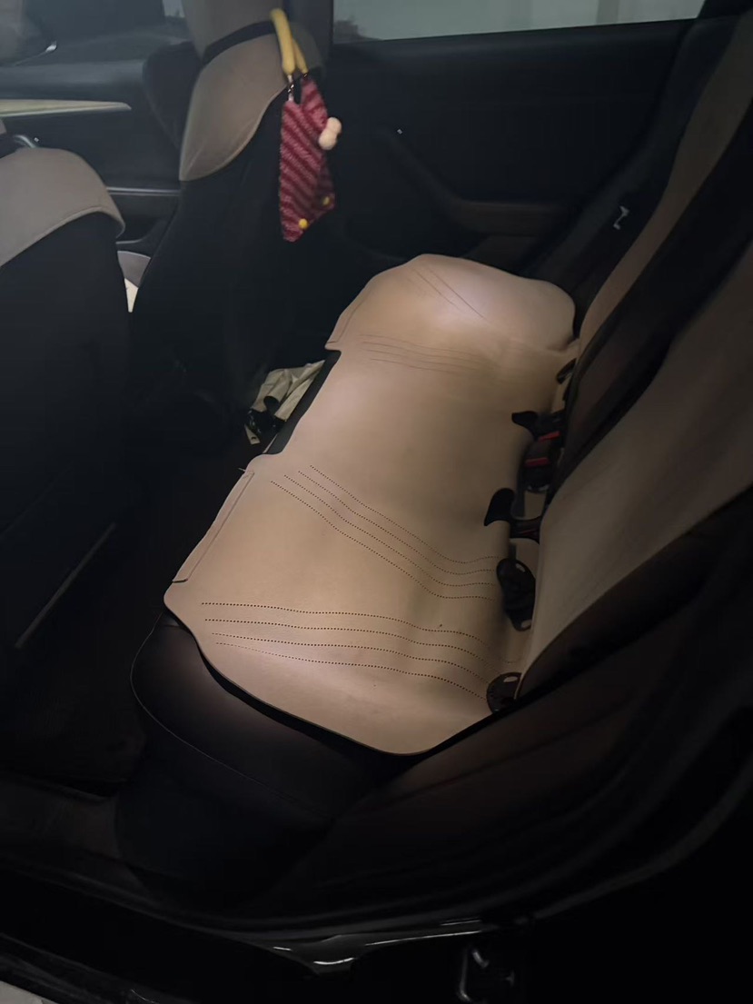 Tesla Model 3 2023 car image #4