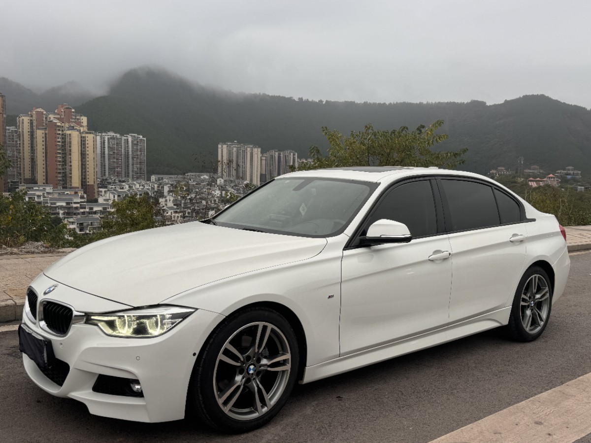 BMW 3 Series 2019 #3 BMW 3 Series 2019 صورة سيارة #3