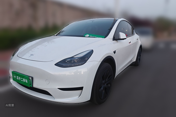 Tesla Model Y 2024 car image #2
