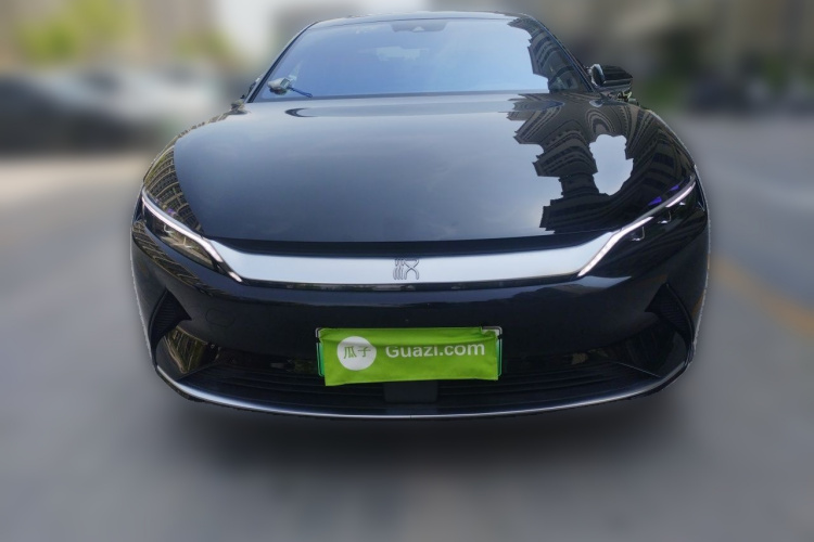 BYD Han 2021 immagine di auto #3