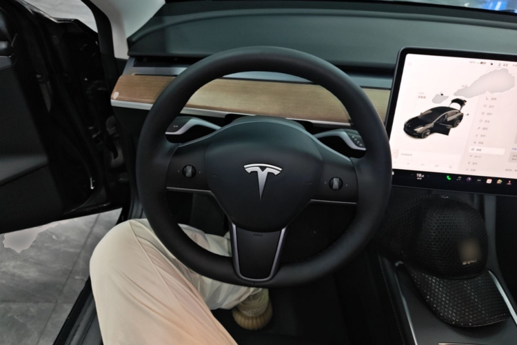 Tesla Model 3 2021 car image #11