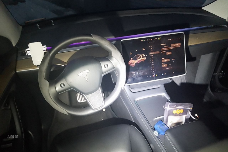 Tesla Model Y 2022 car image #11