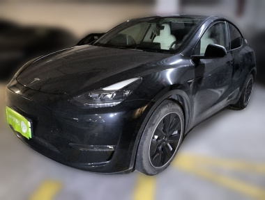 Tesla Model Y 2021 Tesla Model Y 2021 car image