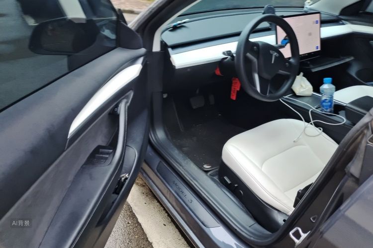 Tesla Model 3 2021 immagine di auto #18