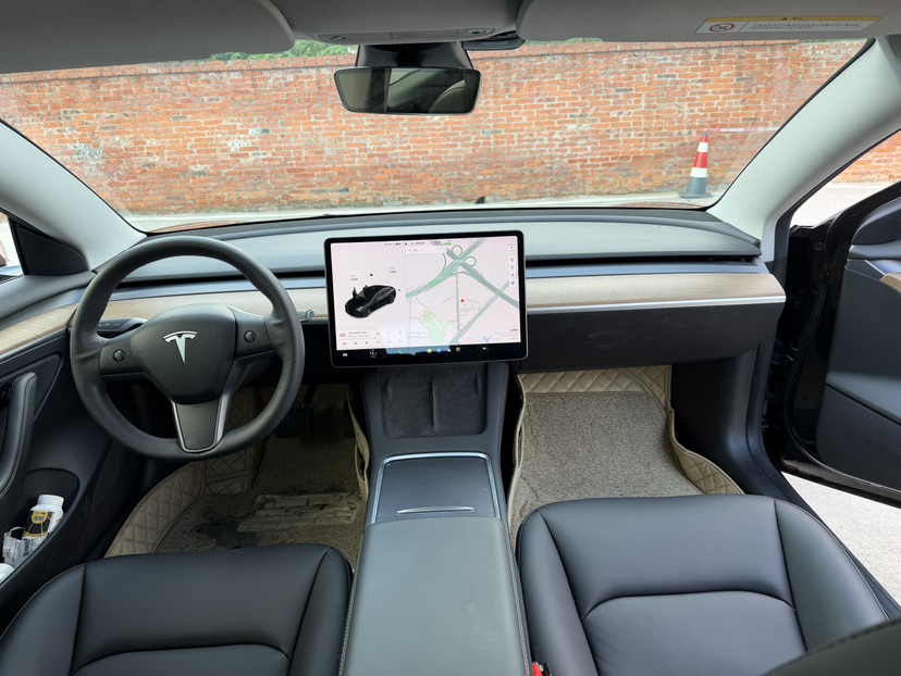 Tesla Model 3 2021 car image #6