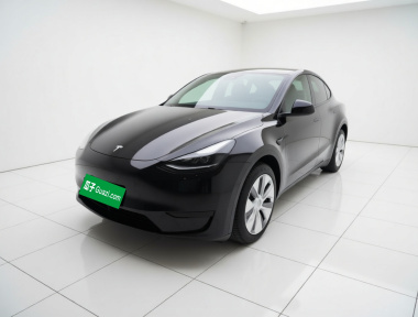 Tesla Model Y 2023 Tesla Model Y 2023 car image