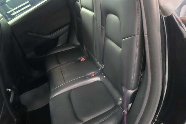 Tesla Model Y 2023 car image #17