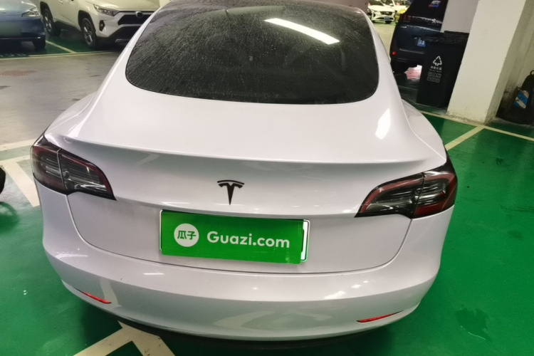 Tesla Model 3 2021 car image #6