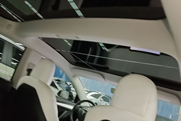 Tesla Model 3 2021 #18 Tesla Model 3 2021 car image #18