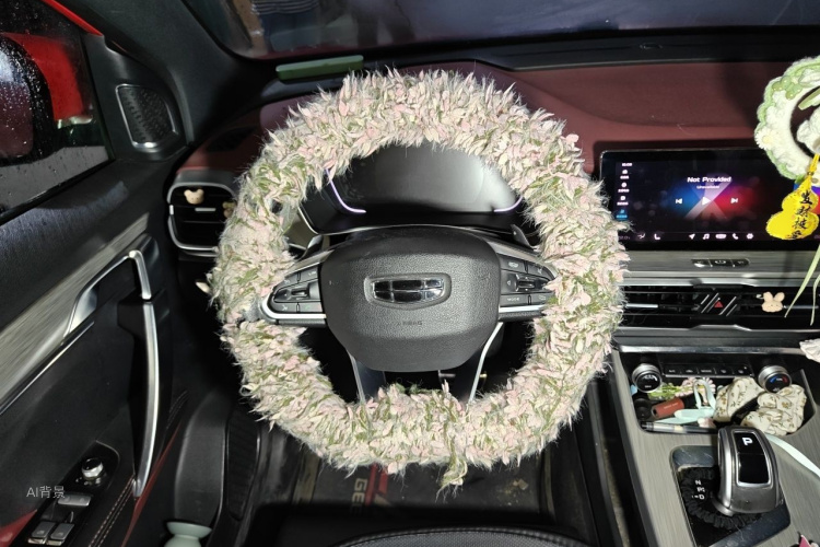 GEELY Coolray 2019 immagine di auto #12