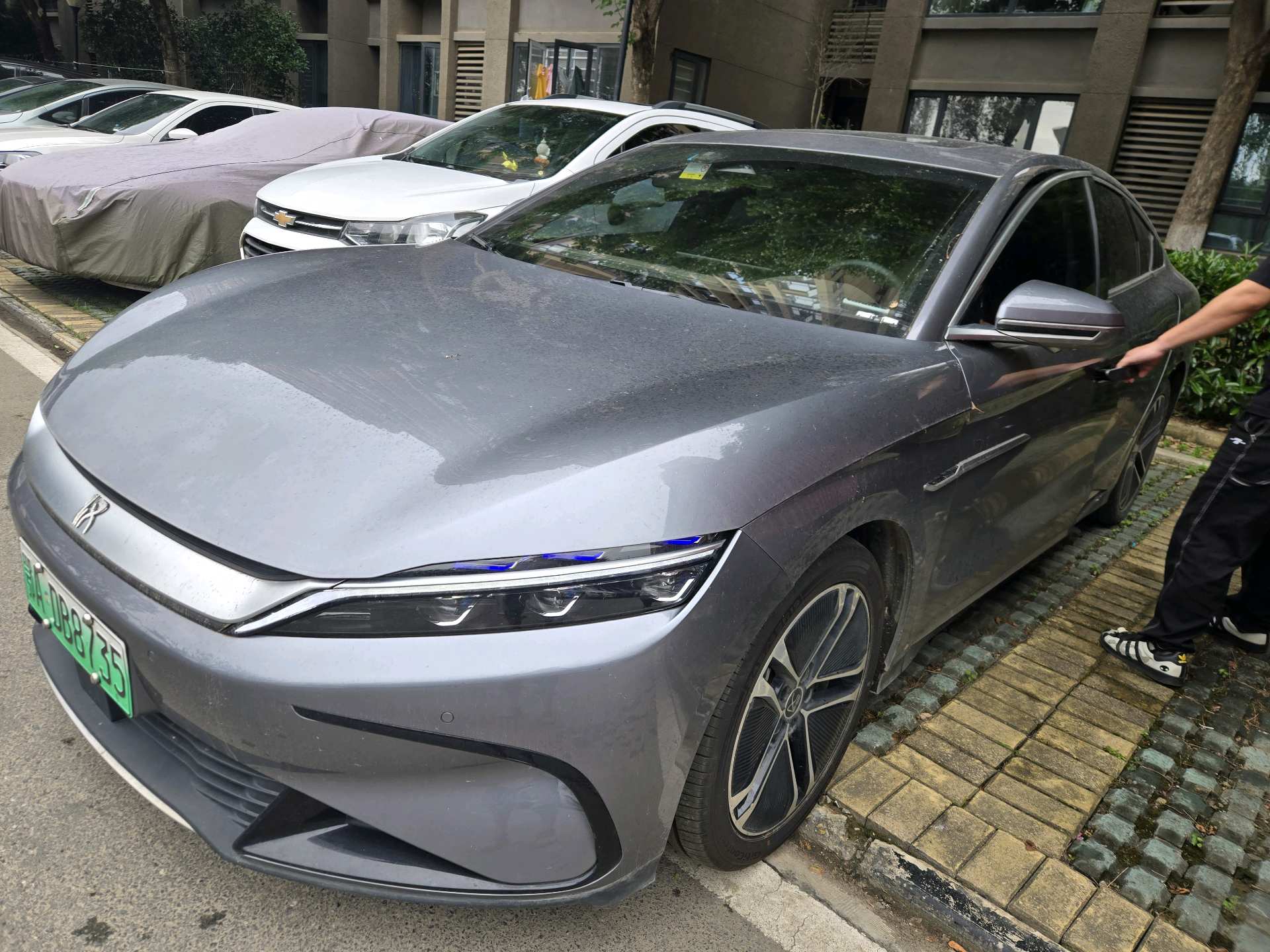BYD Han 2024 car image 