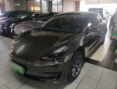 Tesla Model 3 2022 car image 