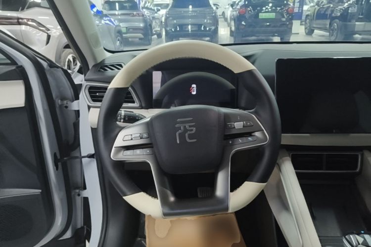 BYD YuanUP 2024 car image #11