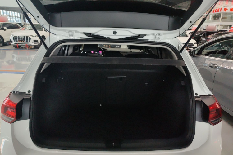 Volkswagen Golf 2020 imagen de coche #19