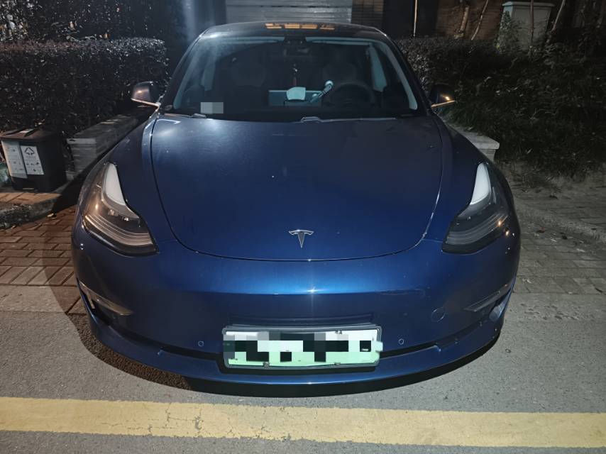 Tesla Model 3 (Imported) 2019 #2 Tesla Model 3 (Imported) 2019 car image #2