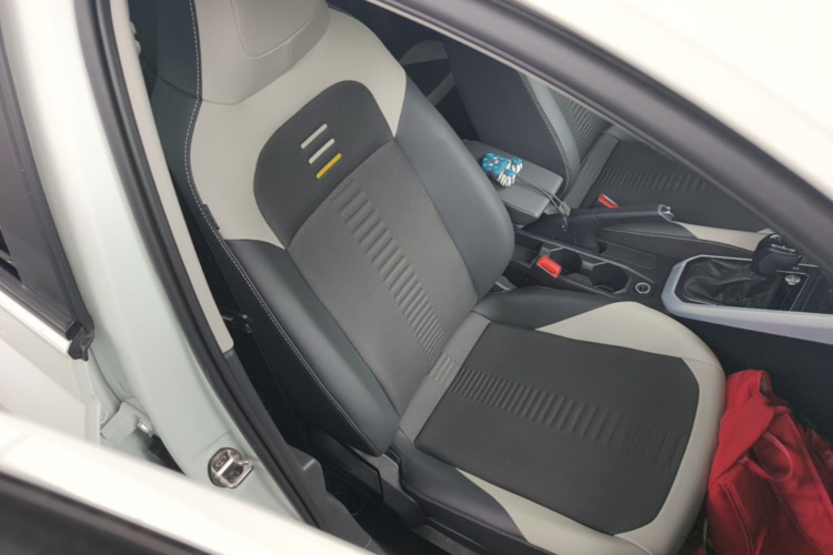 Volkswagen Polo 2021 car image #24