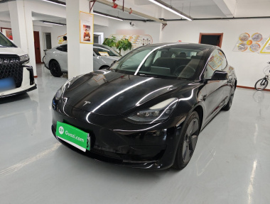 Tesla Model 3 2023 Tesla Model 3 2023 car image